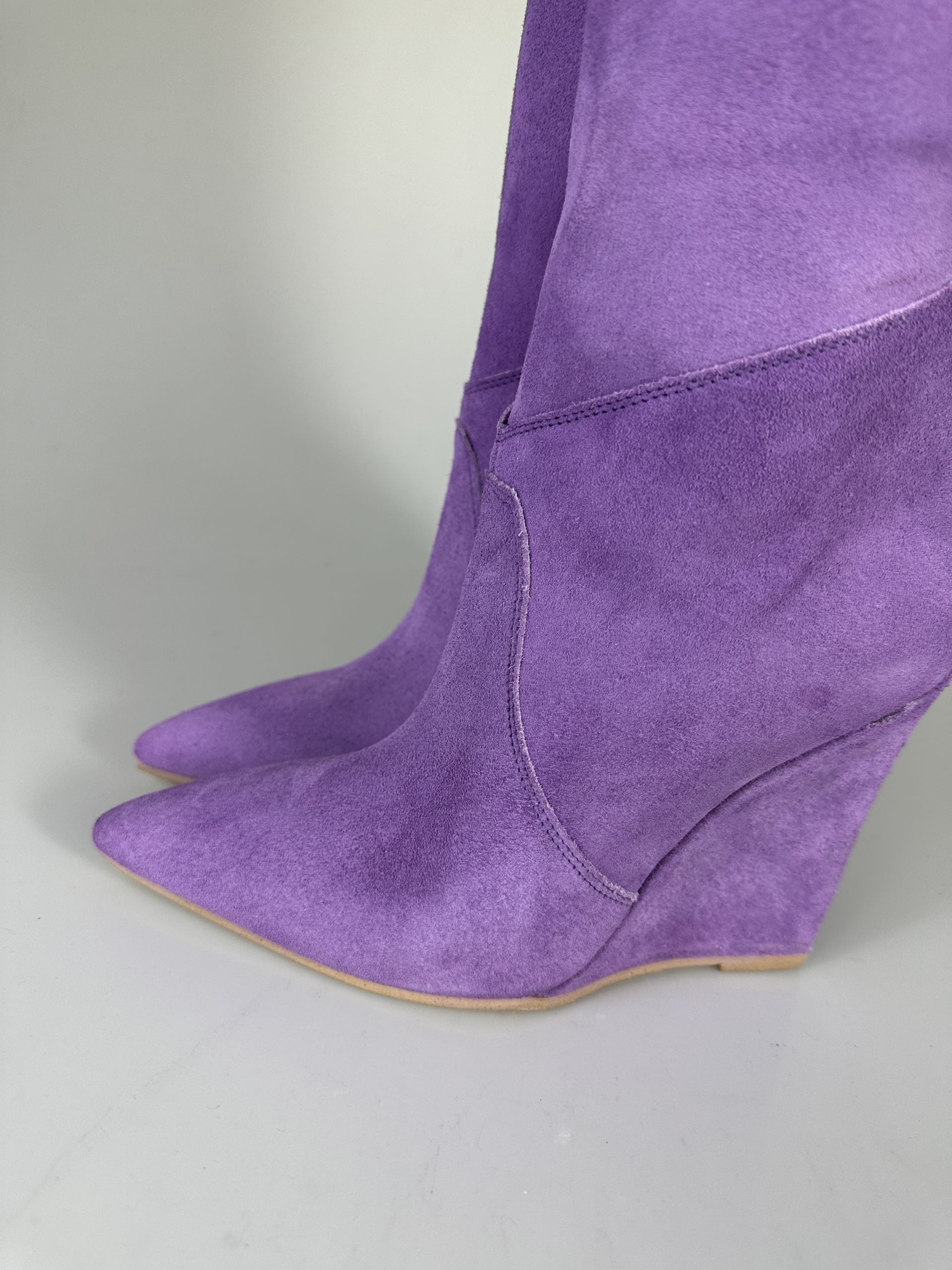 Aurora Santhoo basic cam wisteria