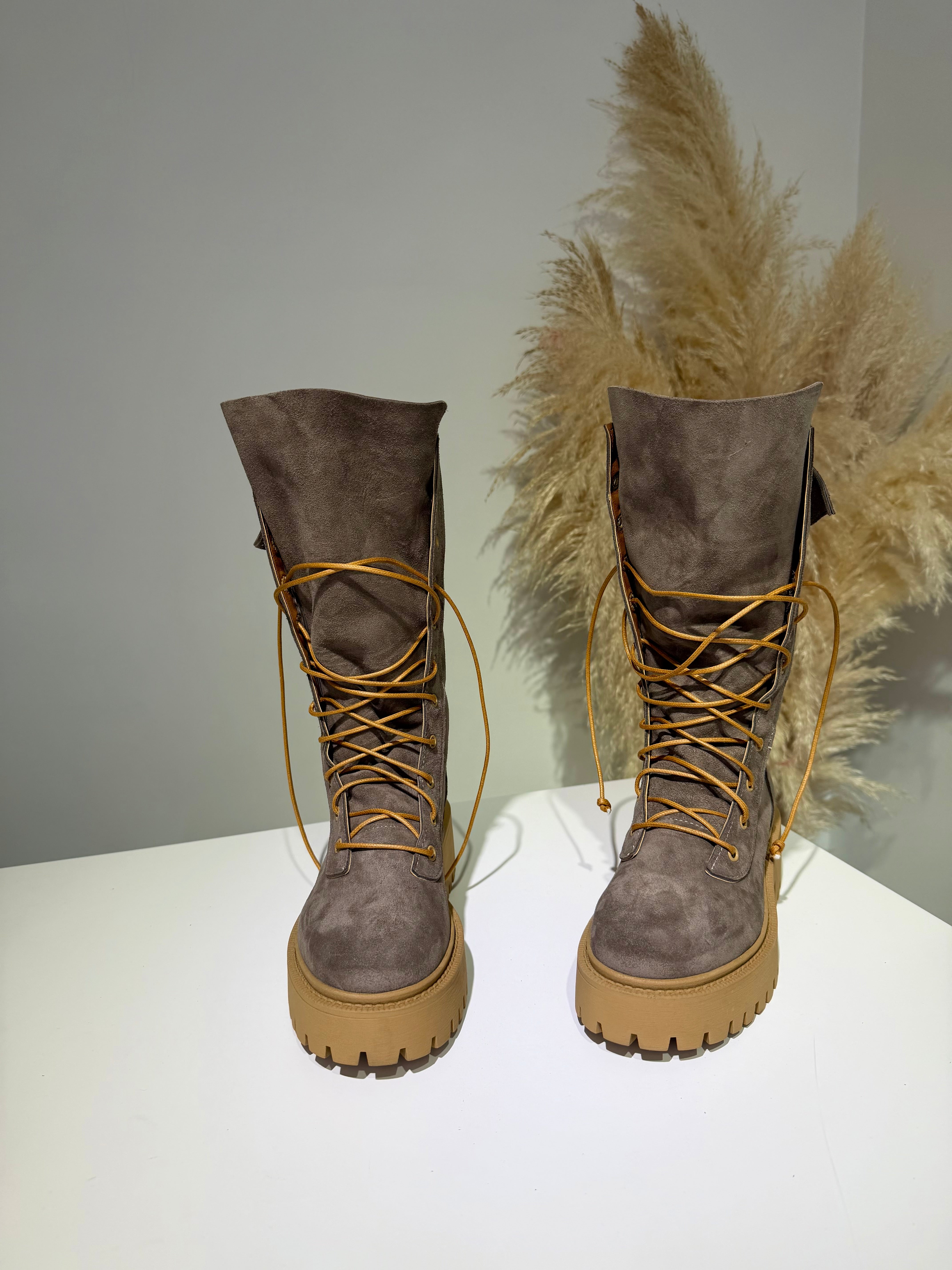 Anfibio ginny cam taope