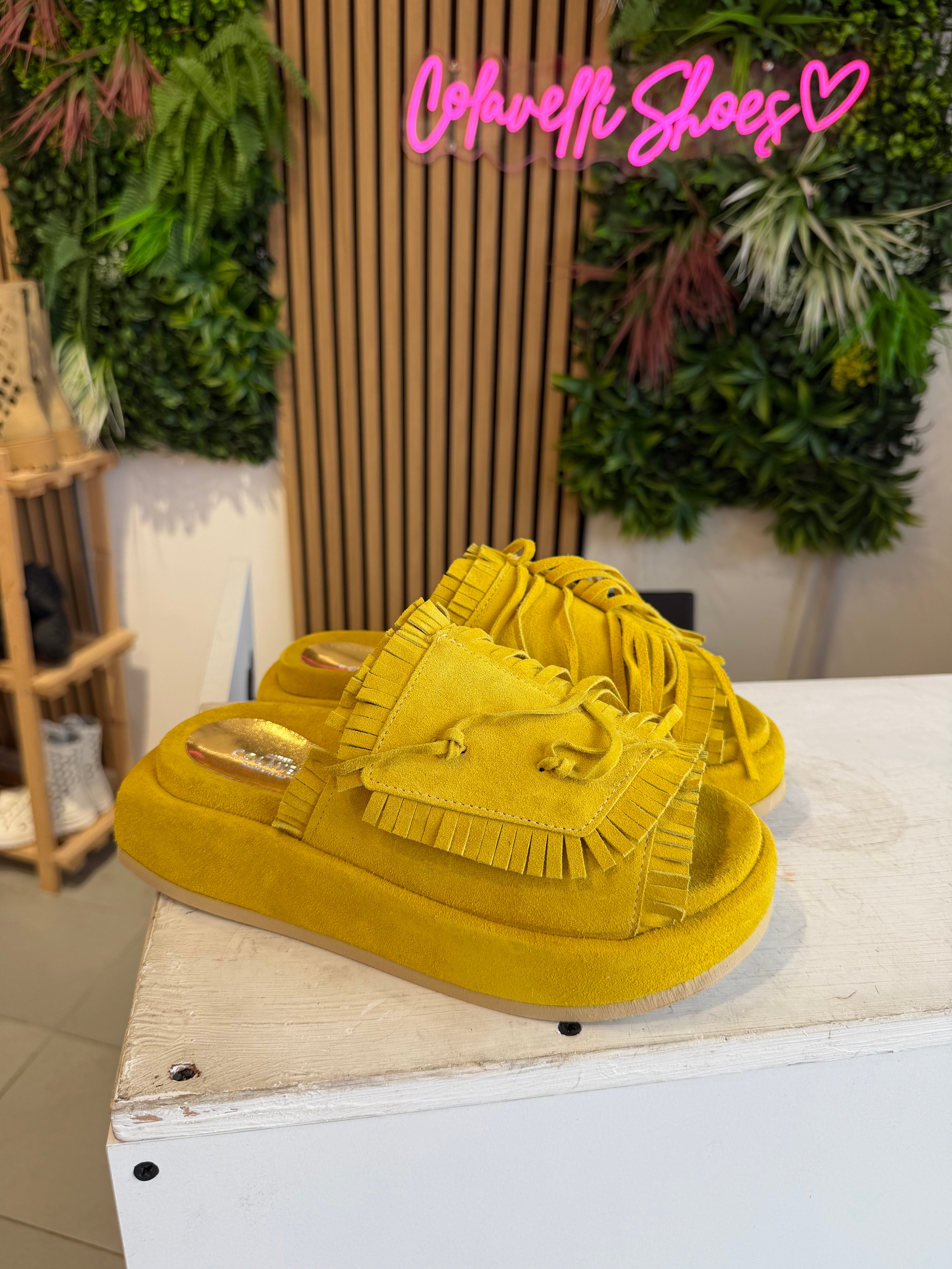 Armonia cam giallo