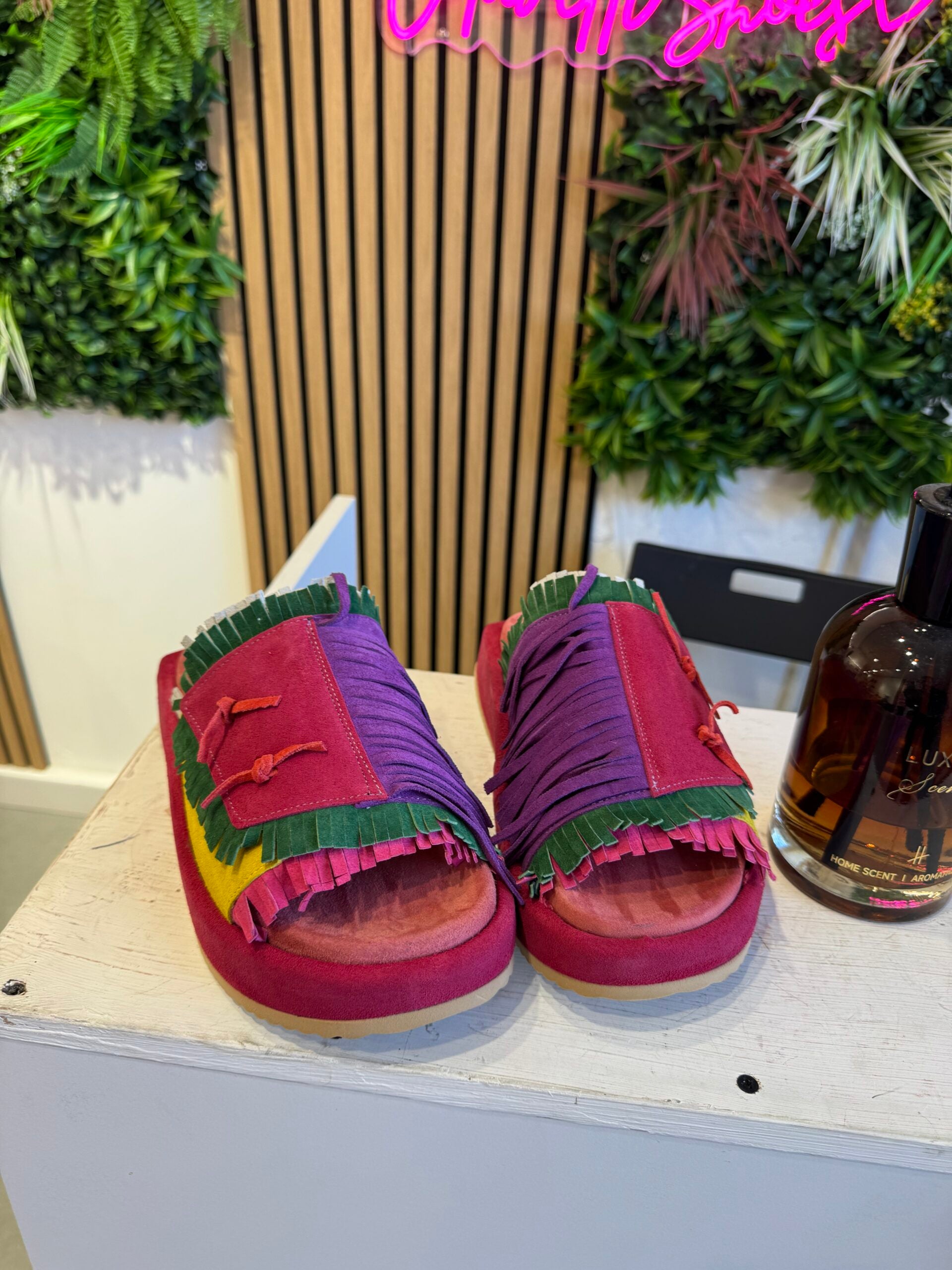 Fuchsia multicolor harmony