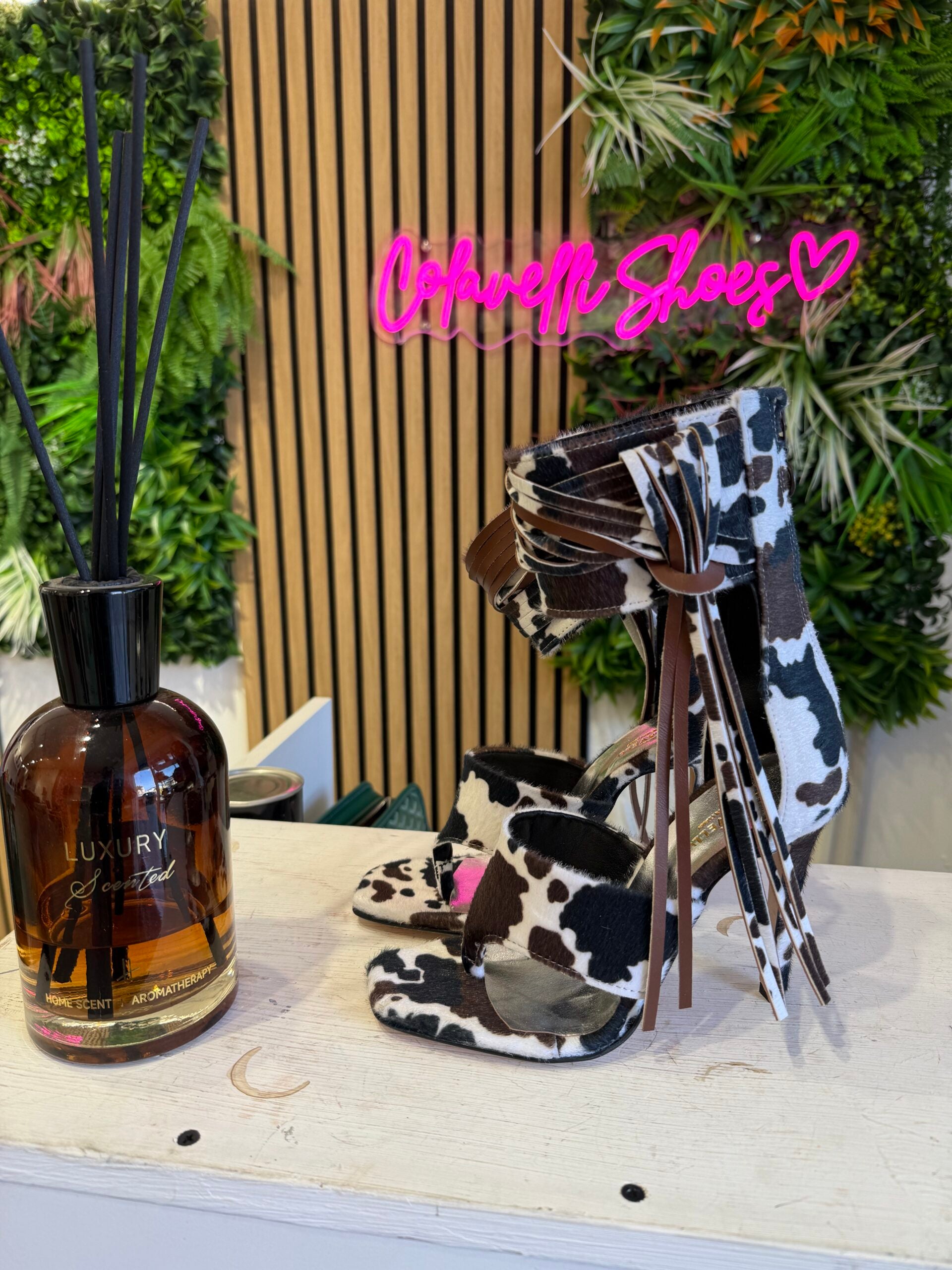 Aurora Jeffry Brown Vaca Negra