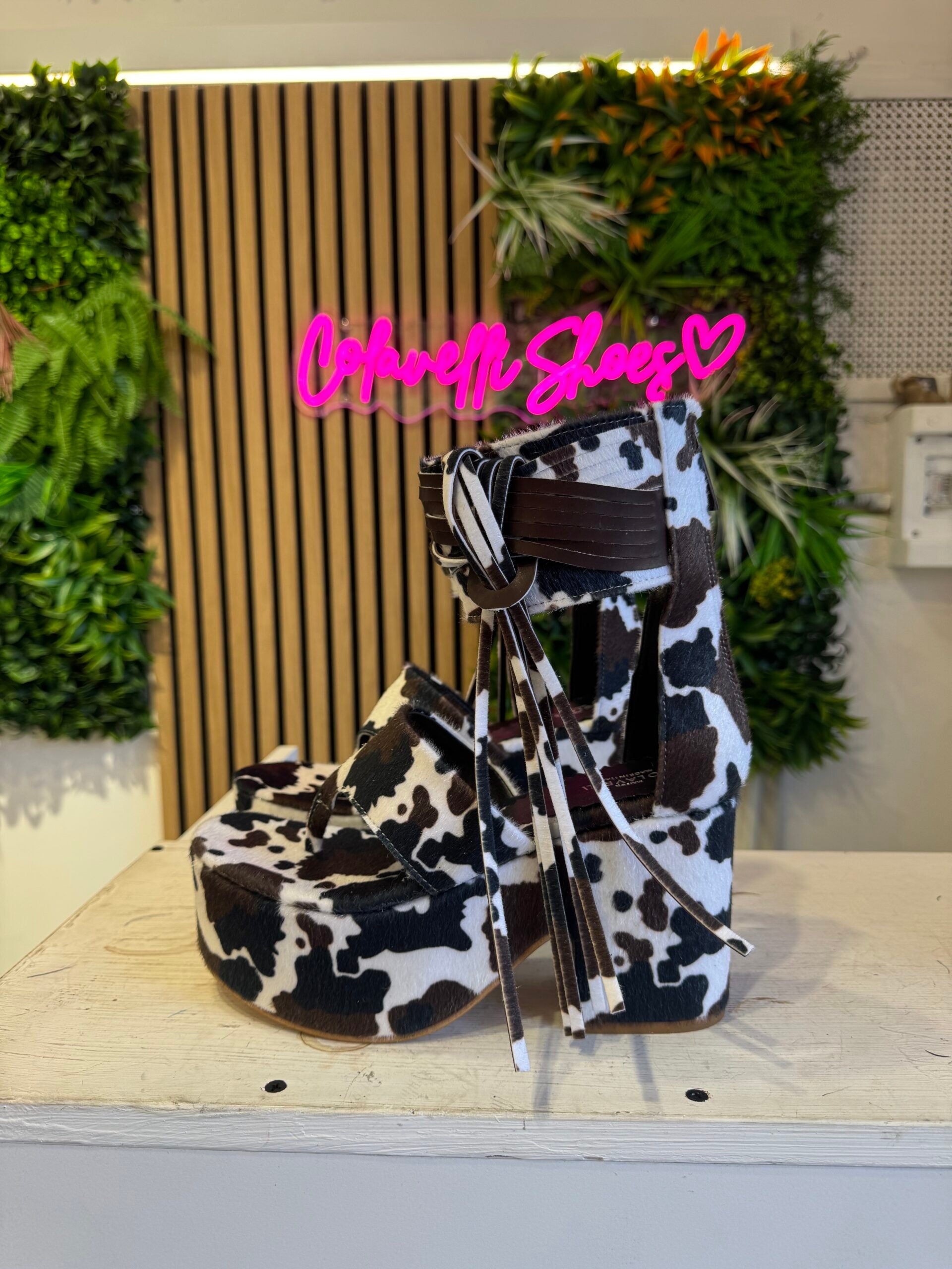 Marrakesh jeffry brown black cow