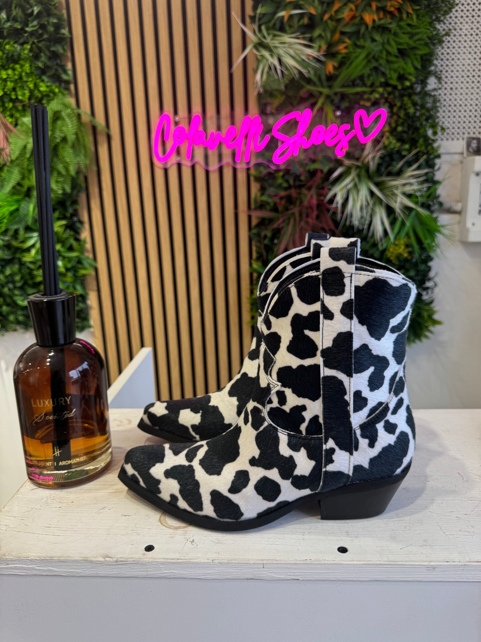 Old West 3 Black and White Cow