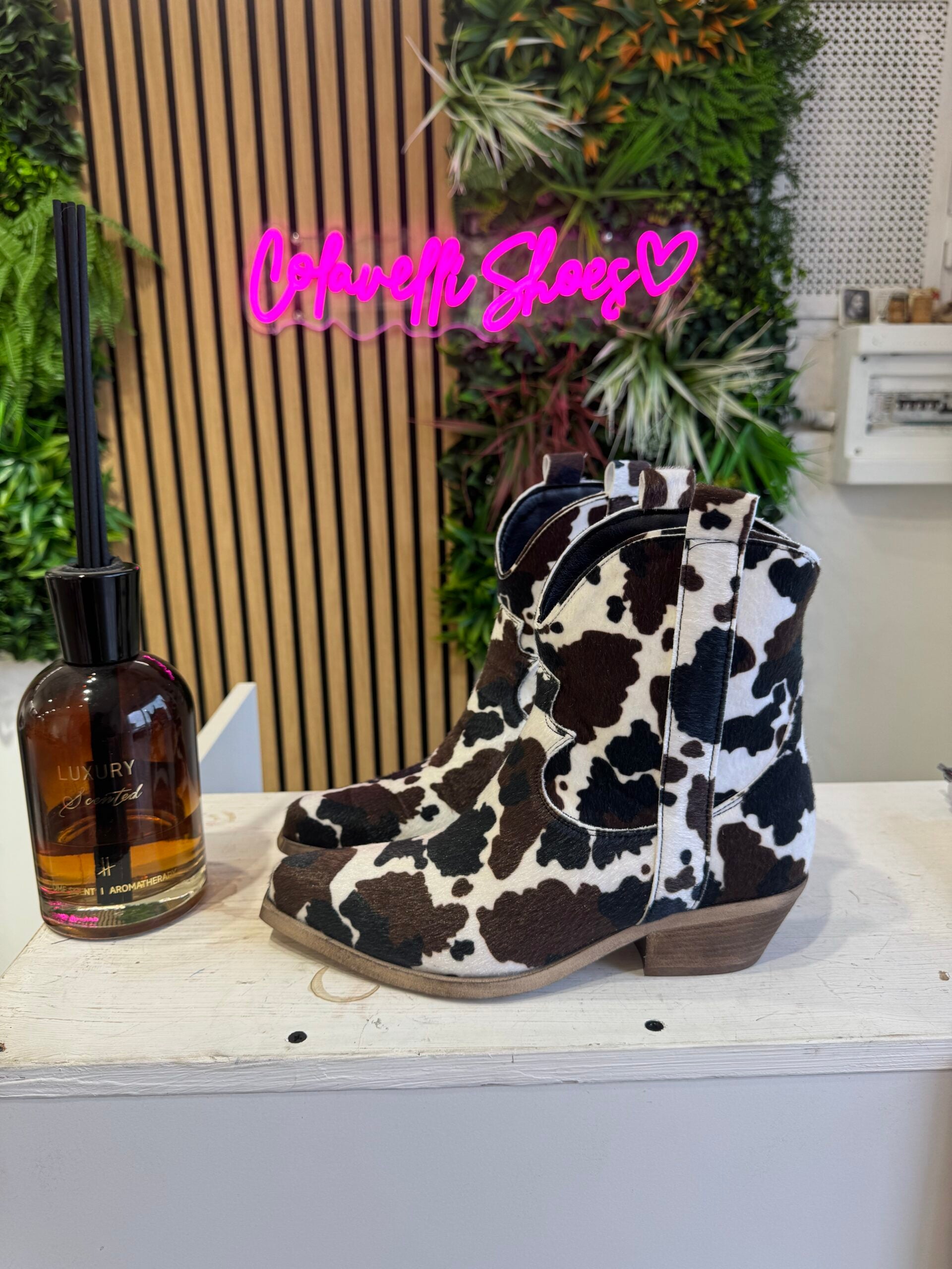 Old West 3 Brown and Black Cow