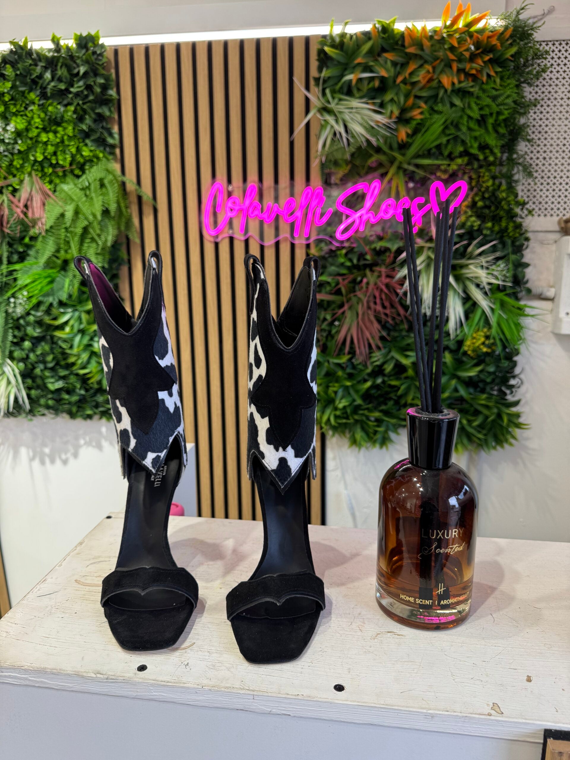 Dubai cam nero rip mucca