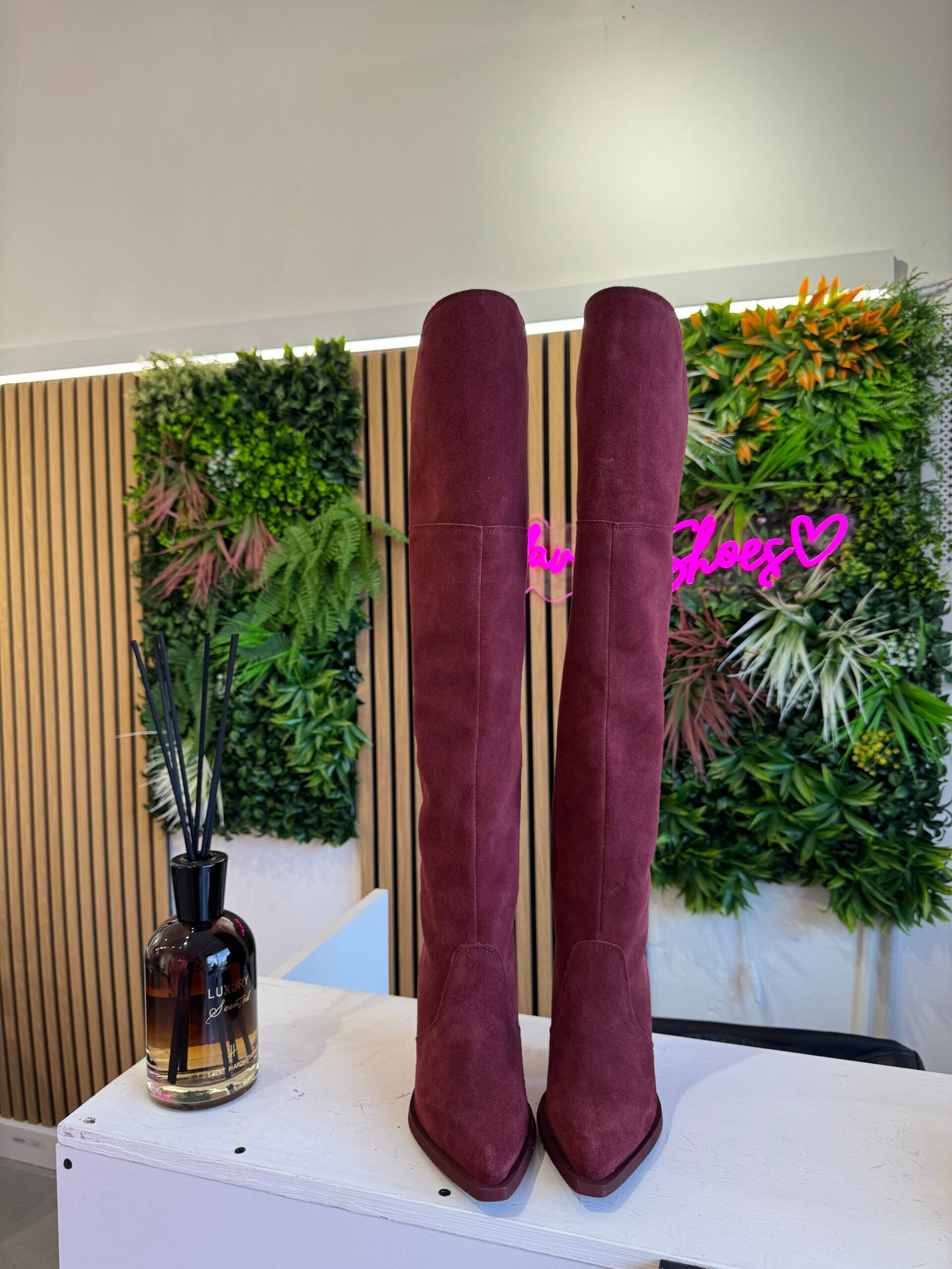 Gabriella Santho basic cam vinaccio