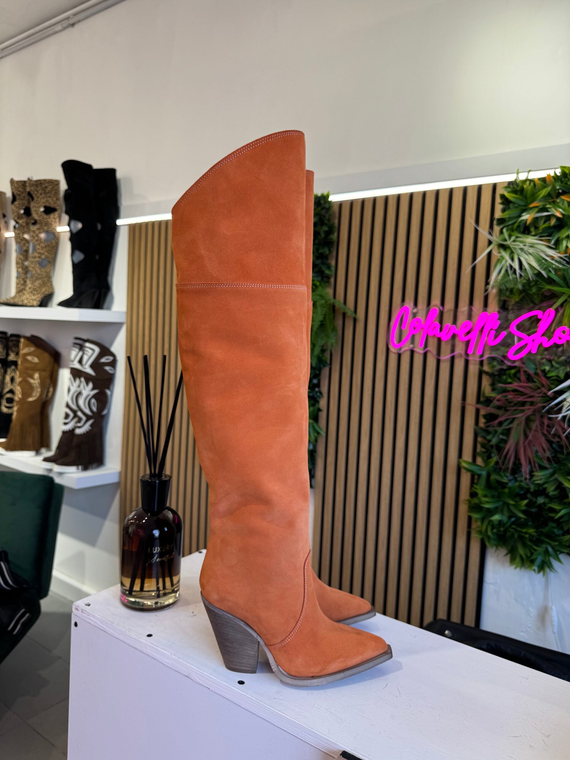 Gabriella Santho basic cam orange