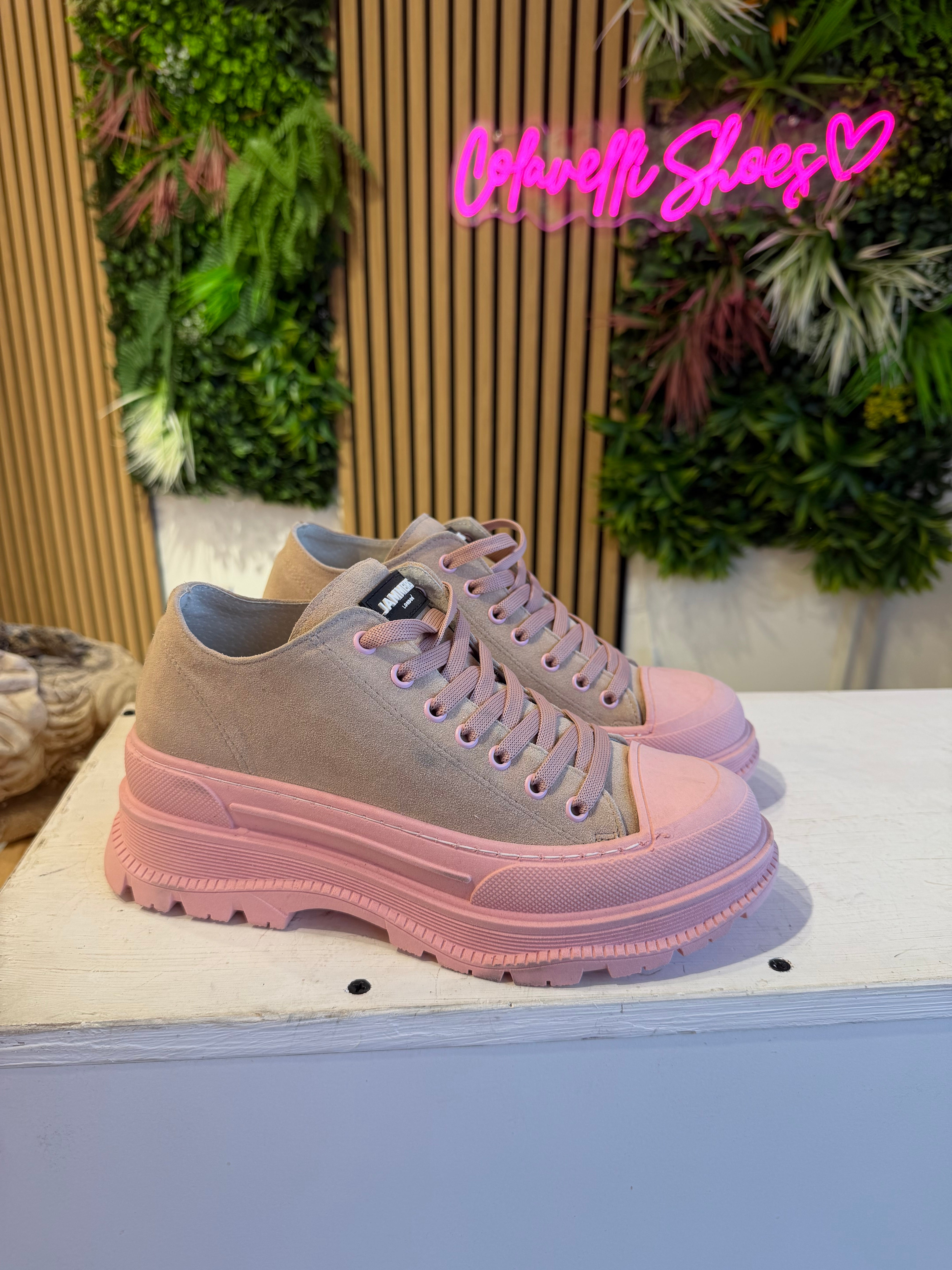 Leone basso cam rosa bis