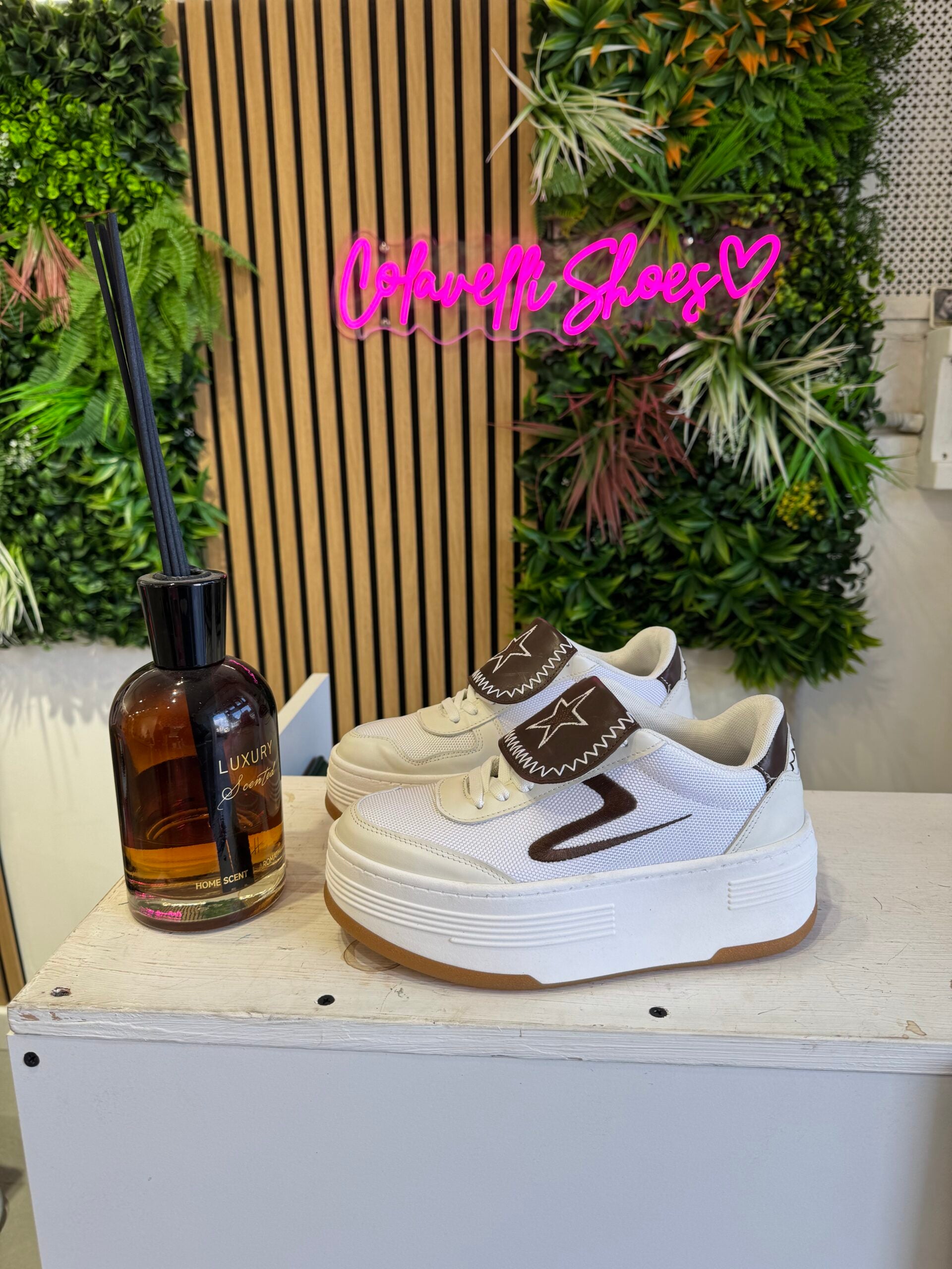 Wolf Puraia white rip. brown