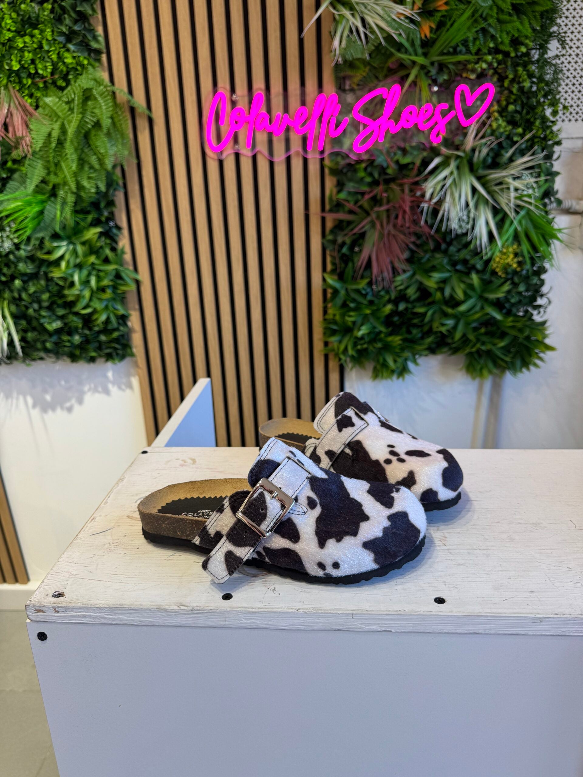 Vaca Bunny Roby