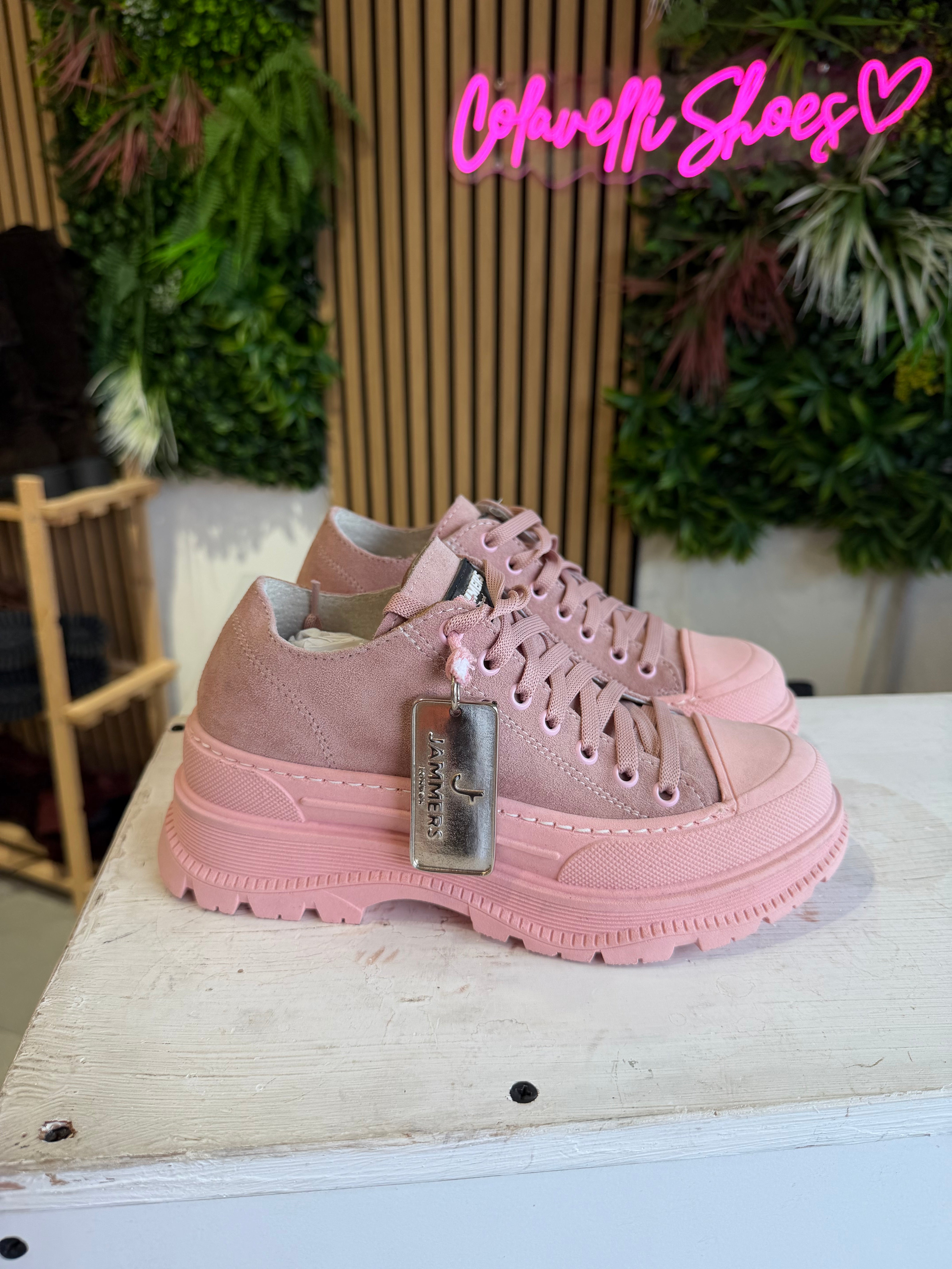 Leone basso cam rosa