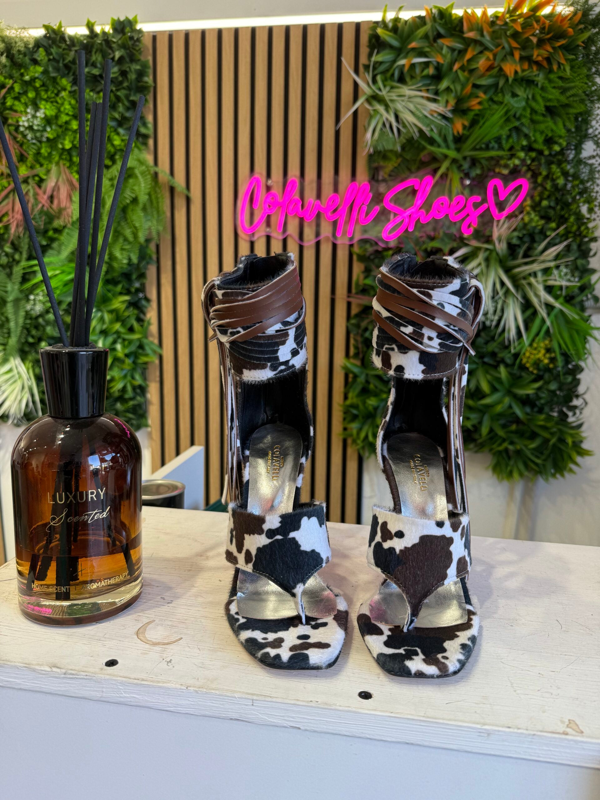 Aurora Jeffry Brown Black Cow