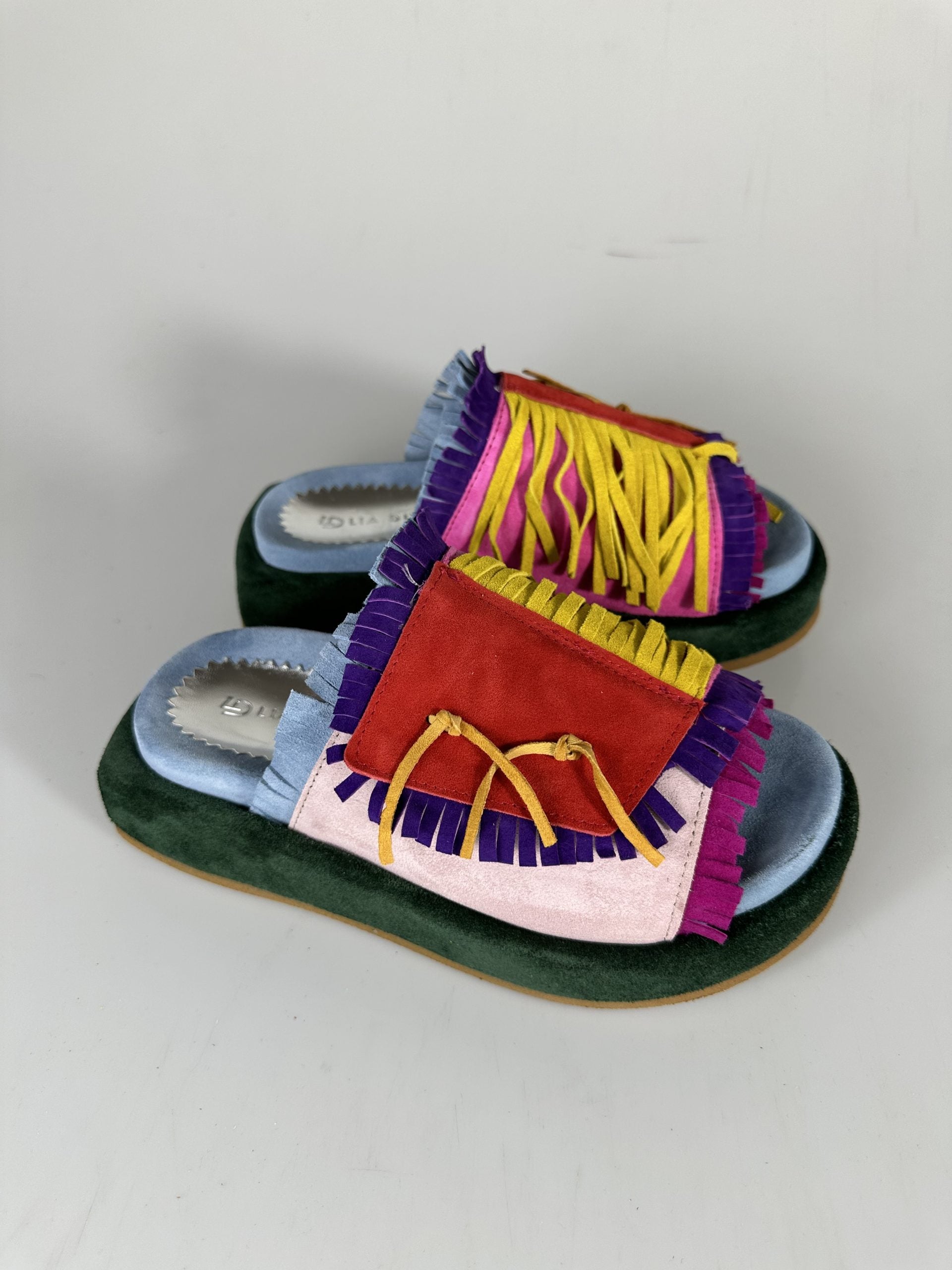 Armonia multicolor 1