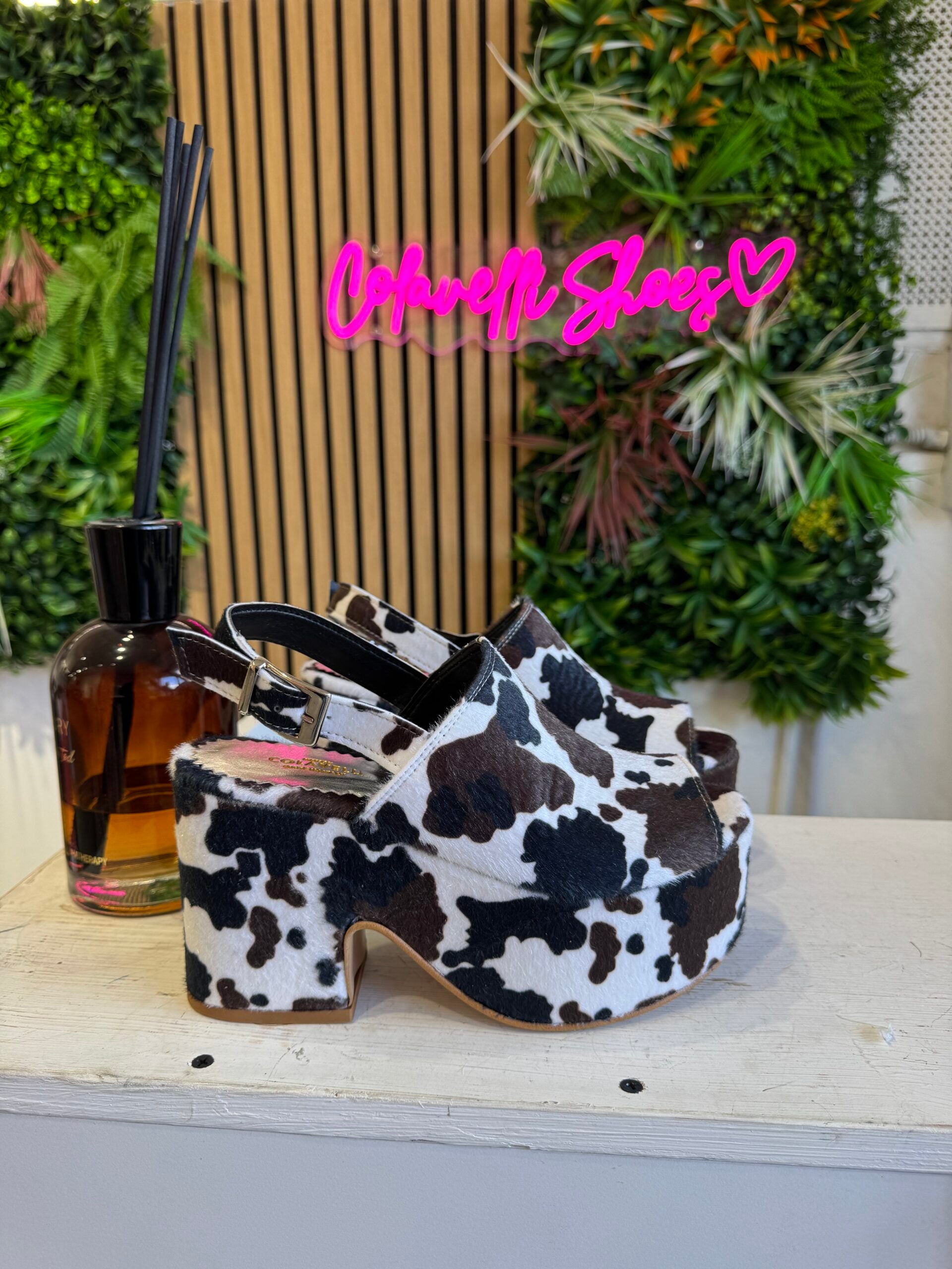 Marrakesh brown black cow