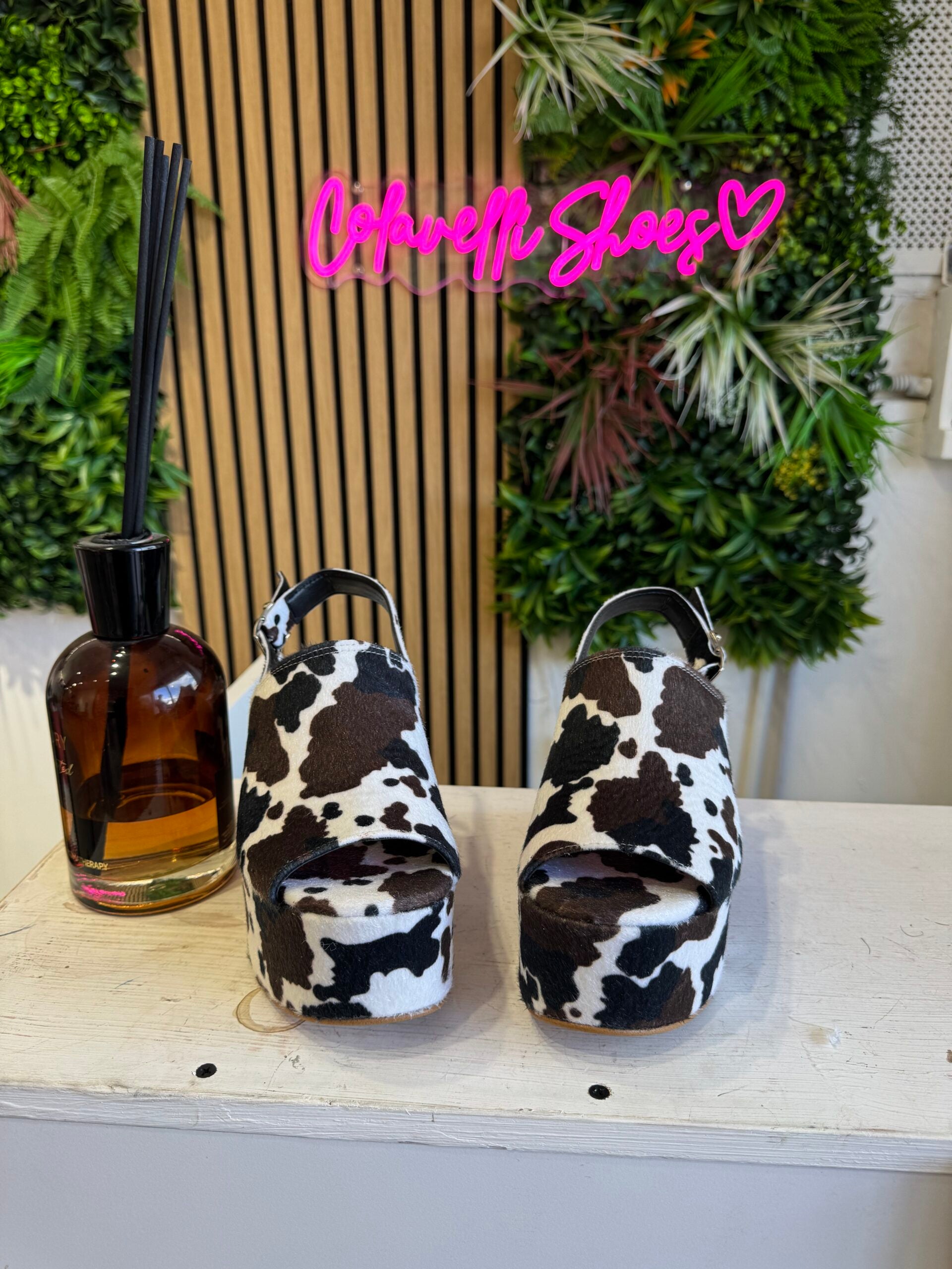 Marrakesh brown black cow