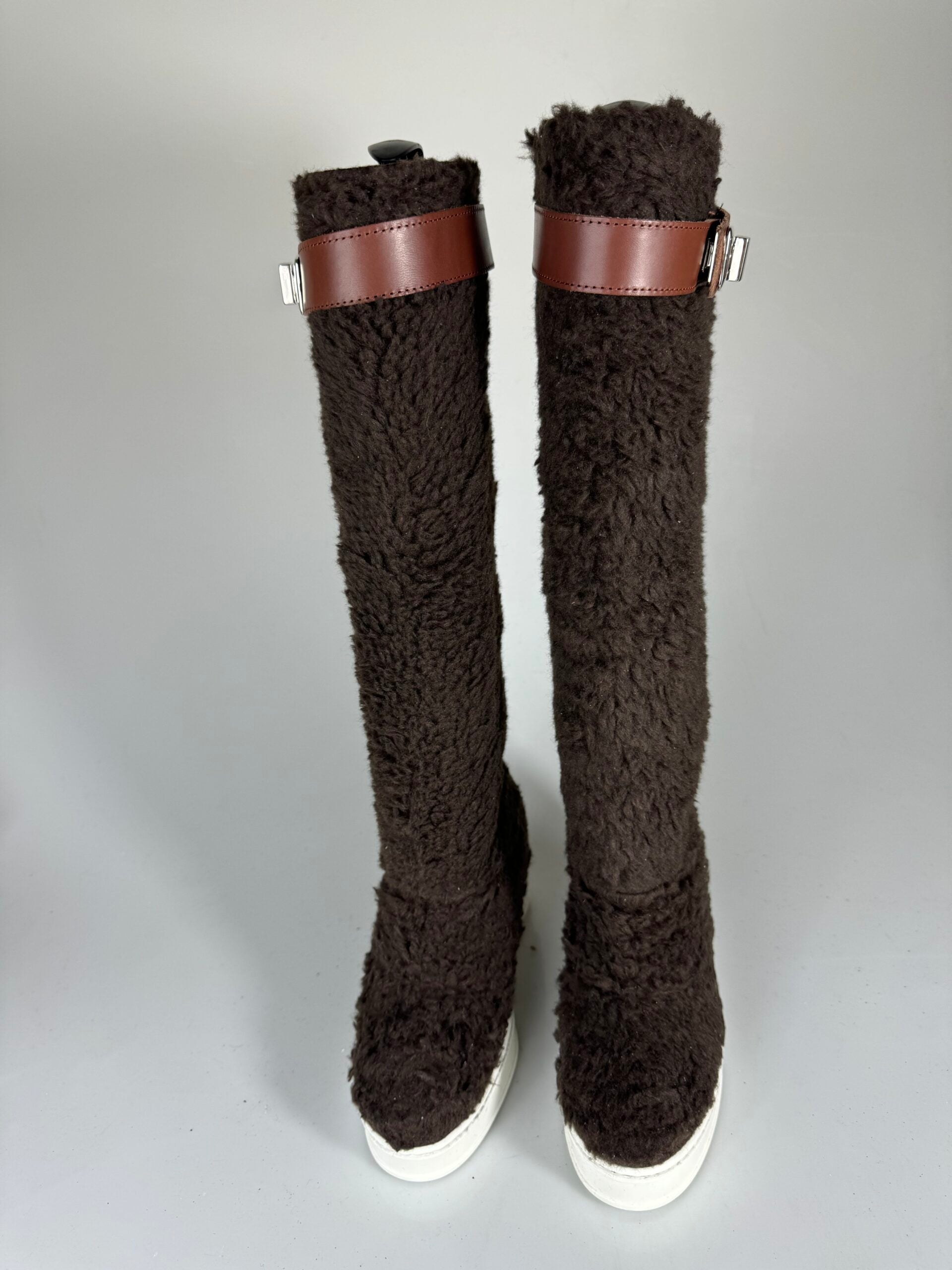 Brown Teddy