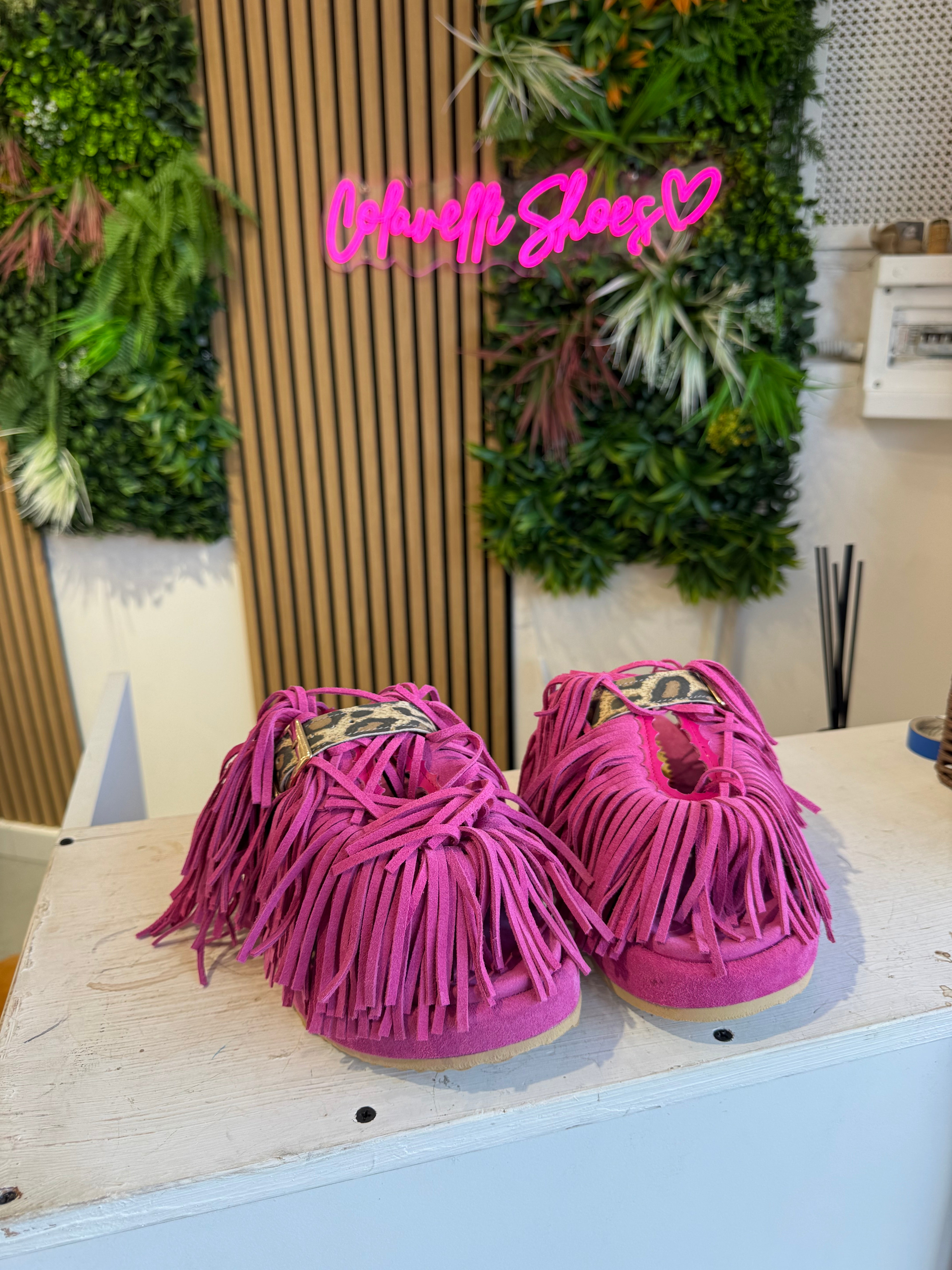 Sinfonia suede fuchsia spotted rip