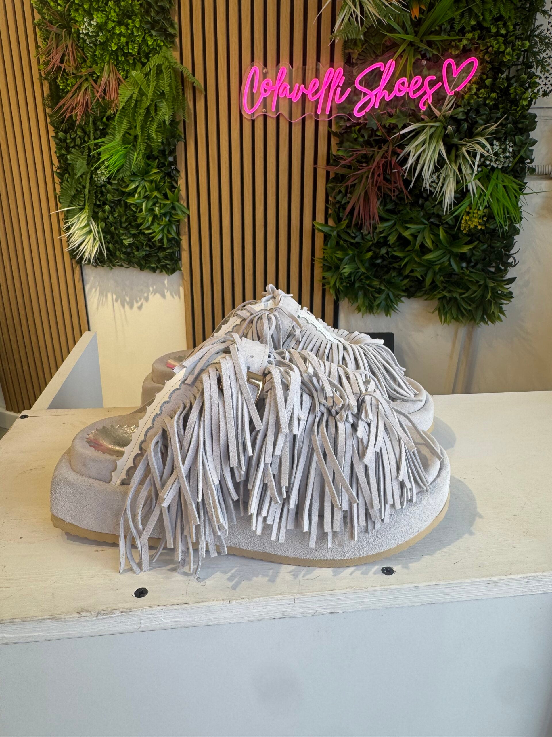 Ice chamois symphony