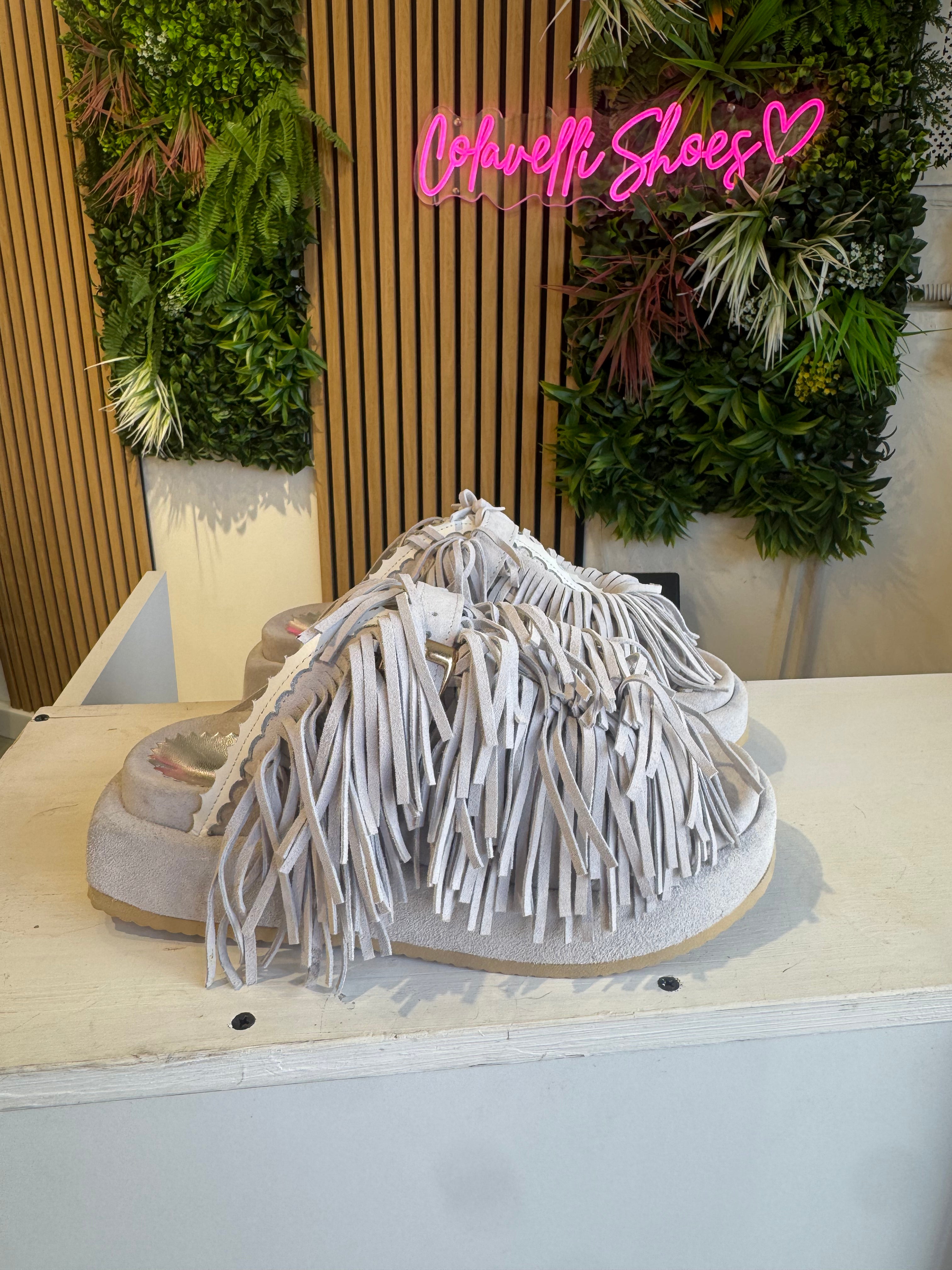 Ice chamois symphony