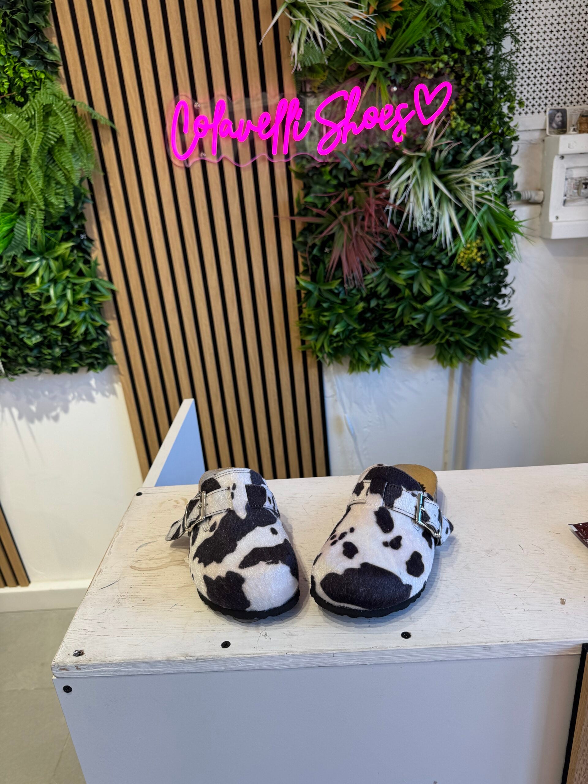 Bunny Roby cow