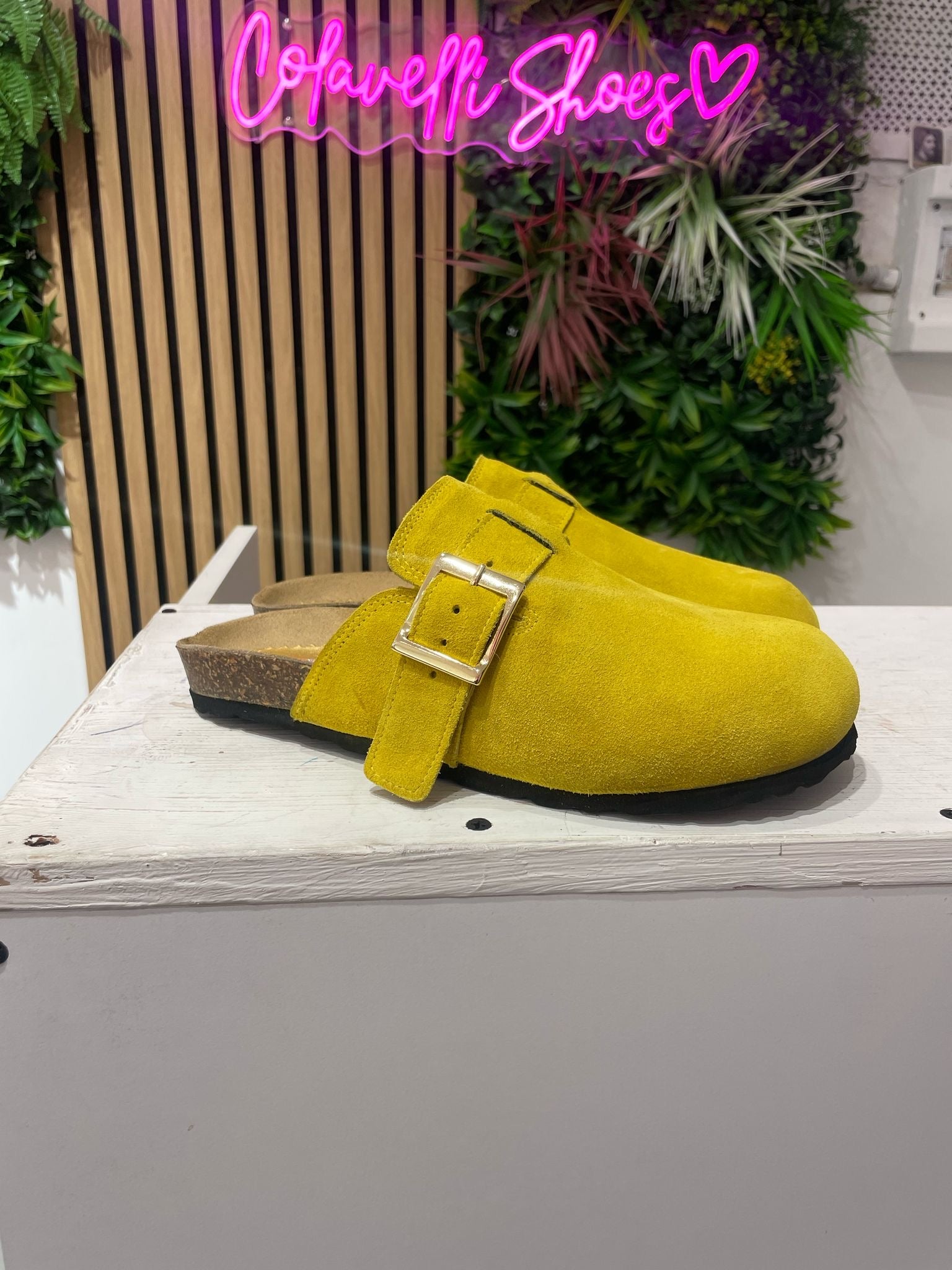 Bunny Roby basic cam yellow